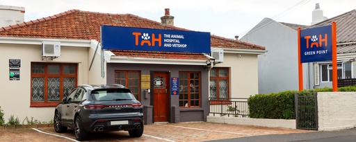 Paid Consultation - Green Point